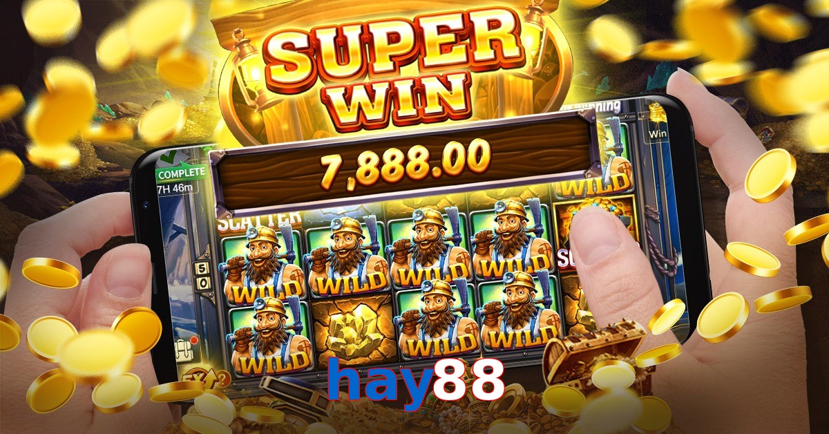 hay88