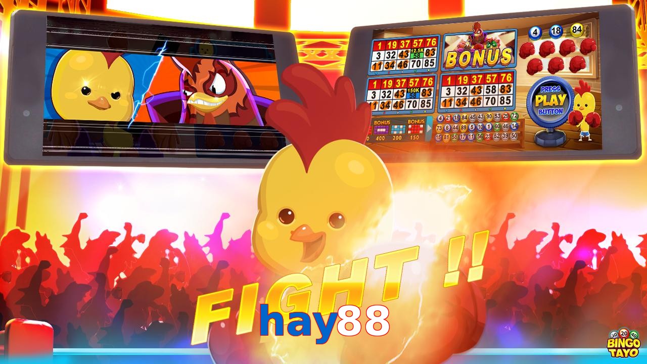 hay88
