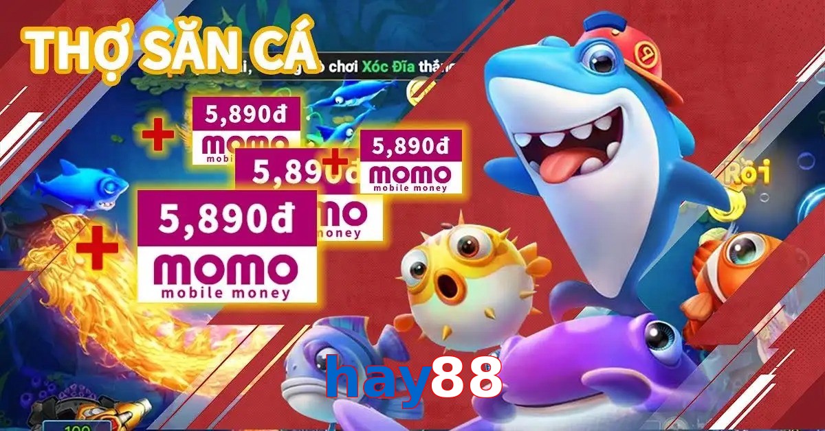 hay88