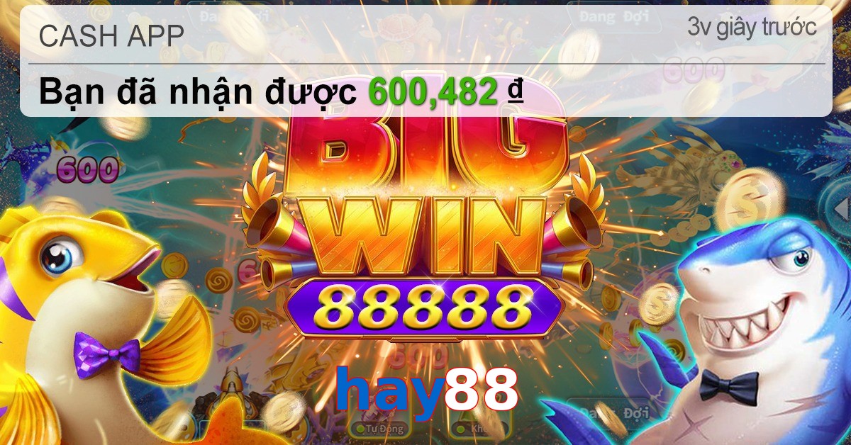 hay88