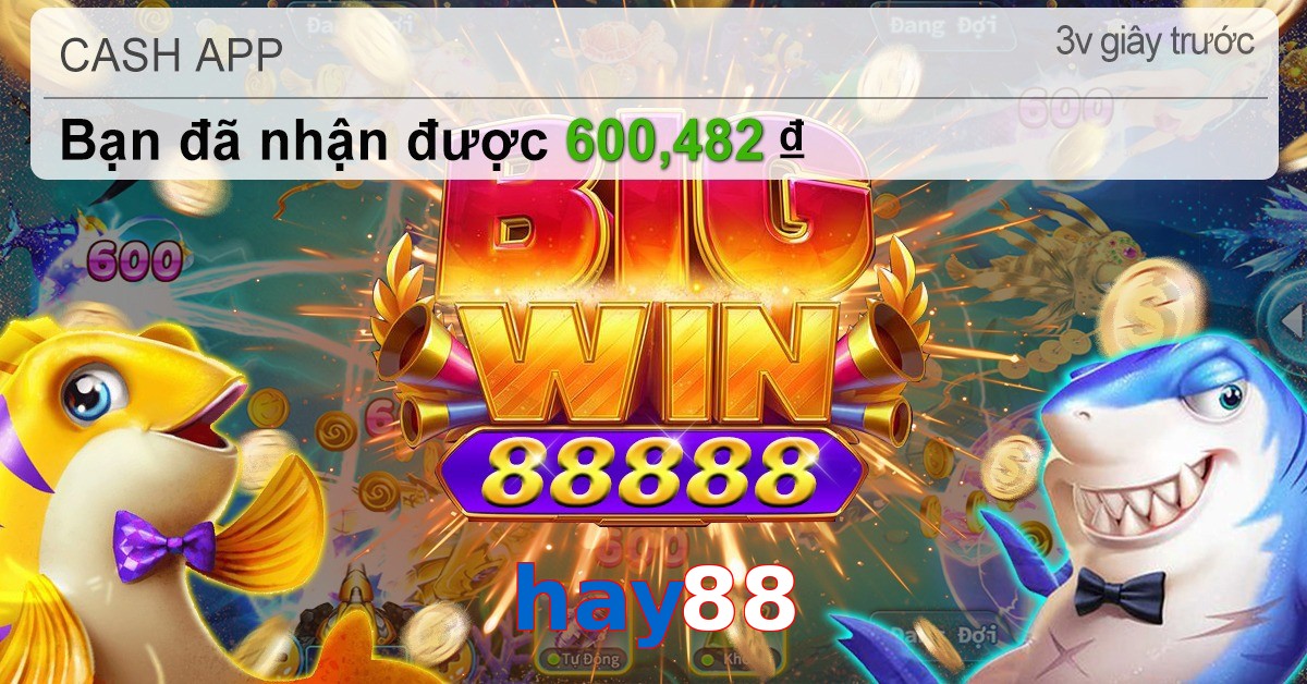 hay88