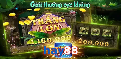 hay88